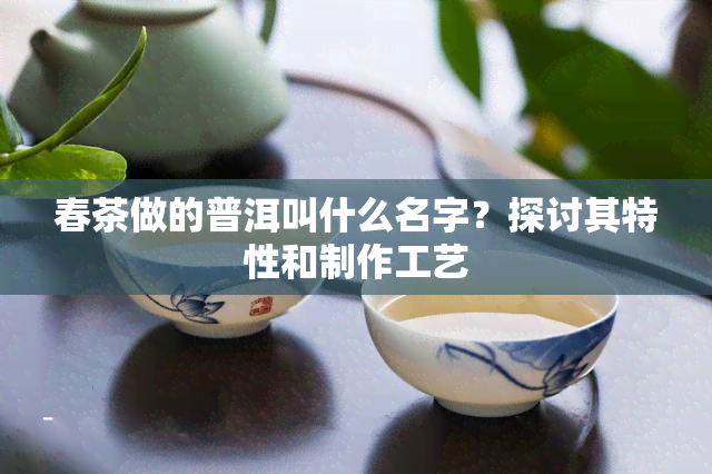 春茶做的普洱叫什么名字？探讨其特性和制作工艺