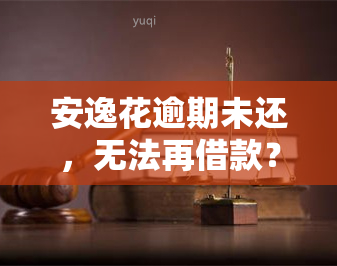 安逸花逾期未还，无法再借款？解决方案在此！