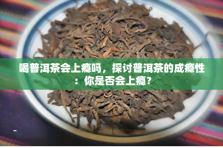 喝普洱茶会上瘾吗，探讨普洱茶的成瘾性：你是否会上瘾？