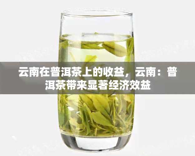 云南在普洱茶上的收益，云南：普洱茶带来显著经济效益