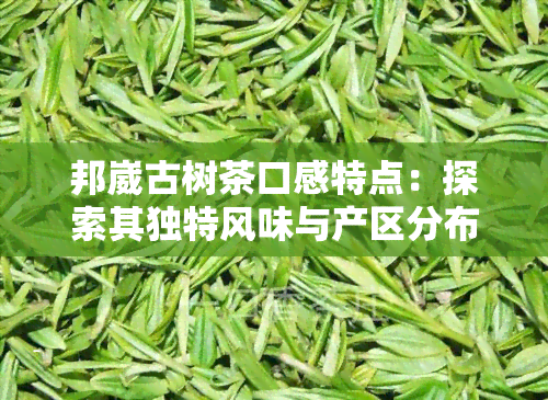 邦崴古树茶口感特点：探索其独特风味与产区分布