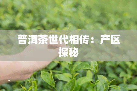 普洱茶世代相传：产区探秘