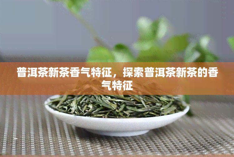 普洱茶新茶香气特征，探索普洱茶新茶的香气特征