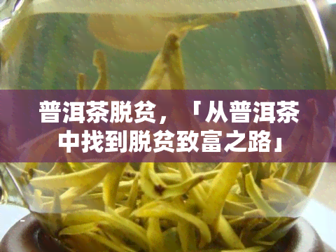 普洱茶脱贫，「从普洱茶中找到脱贫致富之路」