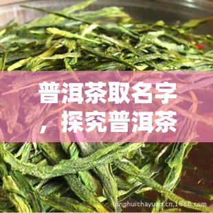 普洱茶取名字，探究普洱茶的命名艺术：历、文化和口感的影响