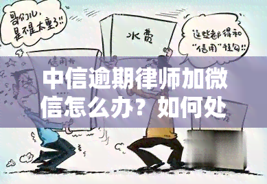 中信逾期律师加微信怎么办？如何处理？