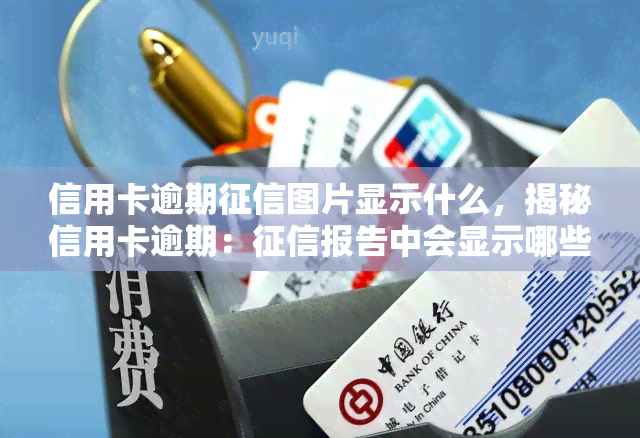 信用卡逾期图片显示什么，揭秘信用卡逾期：报告中会显示哪些信息？