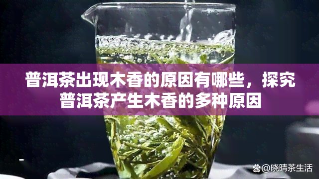 普洱茶出现木香的原因有哪些，探究普洱茶产生木香的多种原因