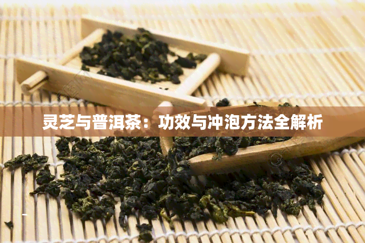 灵芝与普洱茶：功效与冲泡方法全解析