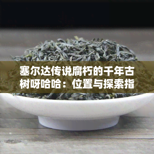 塞尔达传说腐朽的千年古树呀哈哈：位置与探索指南