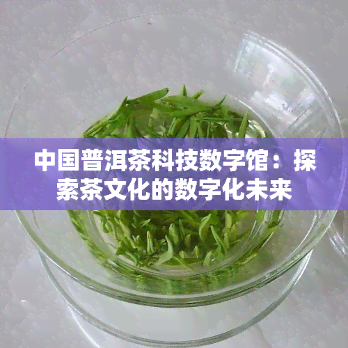 中国普洱茶科技数字馆：探索茶文化的数字化未来