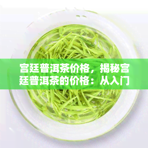 宫廷普洱茶价格，揭秘宫廷普洱茶的价格：从入门到高端，你需要知道的一切