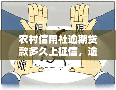 农村信用社逾期贷款多久上，逾期还款多久会上？农村信用社告诉你答案！