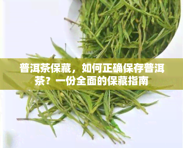 普洱茶保藏，如何正确保存普洱茶？一份全面的保藏指南