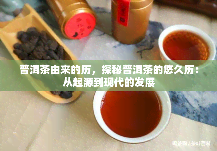 普洱茶由来的历，探秘普洱茶的悠久历：从起源到现代的发展