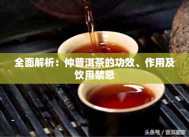 全面解析：仲普洱茶的功效、作用及饮用禁忌