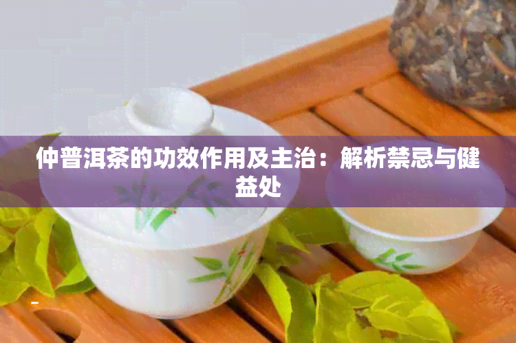 仲普洱茶的功效作用及主治：解析禁忌与健益处