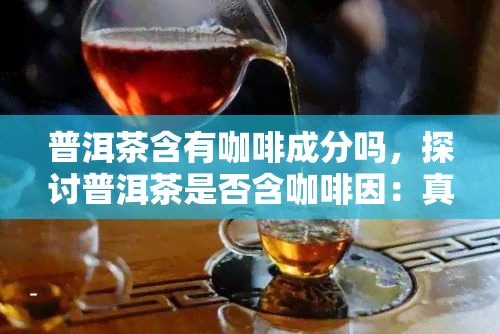 普洱茶含有咖啡成分吗，探讨普洱茶是否含 *** ：真相大揭秘