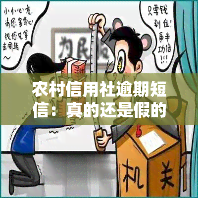 农村信用社逾期短信：真的还是假的？1068开头的催款短信与信用社贷款逾期短信有何区别？