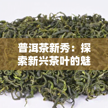 普洱茶新秀：探索新兴茶叶的魅力与故事