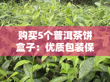 购买5个普洱茶饼盒子：优质包装保障茶叶品质