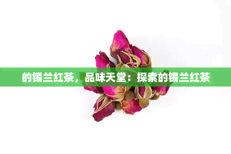 的锡兰红茶，品味天堂：探索的锡兰红茶