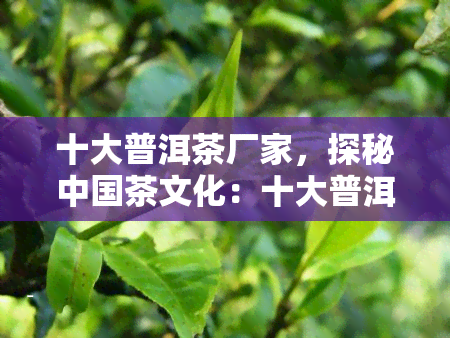 十大普洱茶厂家，探秘中国茶文化：十大普洱茶厂家全面解析