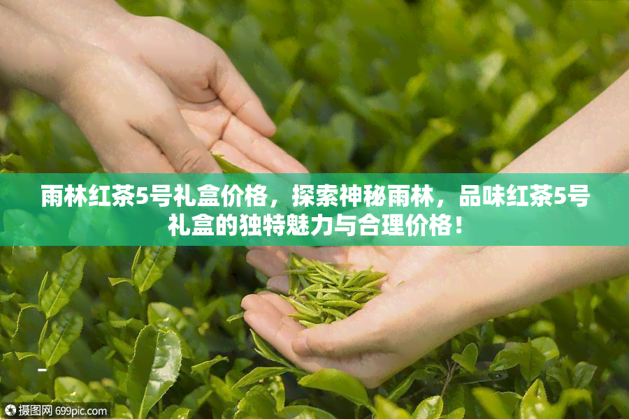 雨林红茶5号礼盒价格，探索神秘雨林，品味红茶5号礼盒的独特魅力与合理价格！