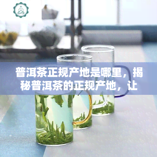 普洱茶正规产地是哪里，揭秘普洱茶的正规产地，让你品味真正的普洱味道！