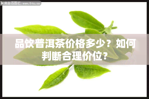 品饮普洱茶价格多少？如何判断合理价位？