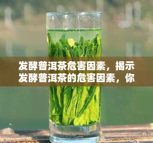 发酵普洱茶危害因素，揭示发酵普洱茶的危害因素，你了解多少？