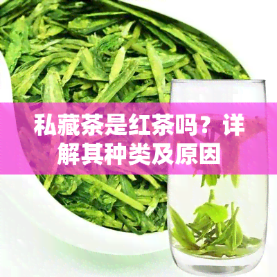 私藏茶是红茶吗？详解其种类及原因