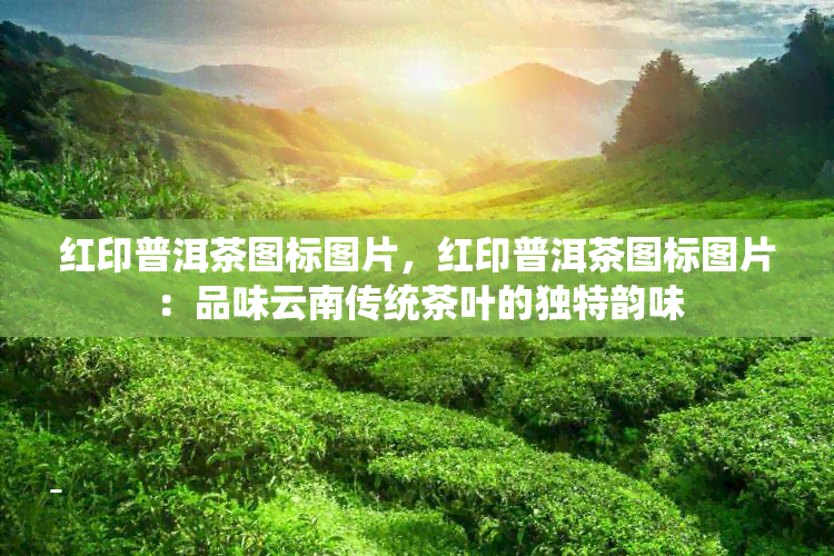 红印普洱茶图标图片，红印普洱茶图标图片：品味云南传统茶叶的独特韵味