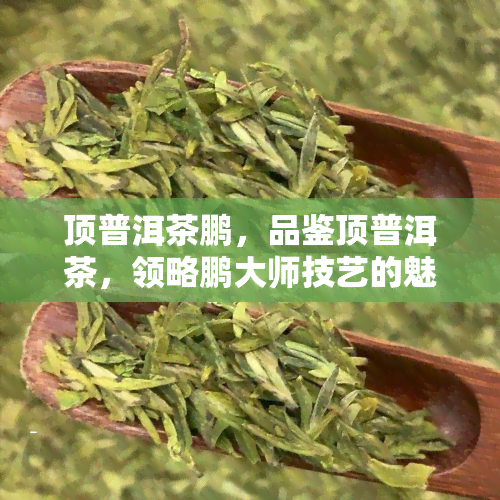 顶普洱茶鹏，品鉴顶普洱茶，领略鹏大师技艺的魅力