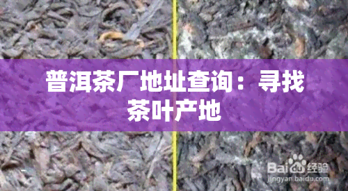 普洱茶厂地址查询：寻找茶叶产地