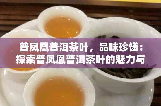 普凤凰普洱茶叶，品味珍馐：探索普凤凰普洱茶叶的魅力与独特之处