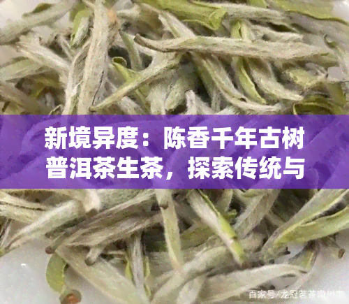 新境异度：陈香千年古树普洱茶生茶，探索传统与现代的交融之美