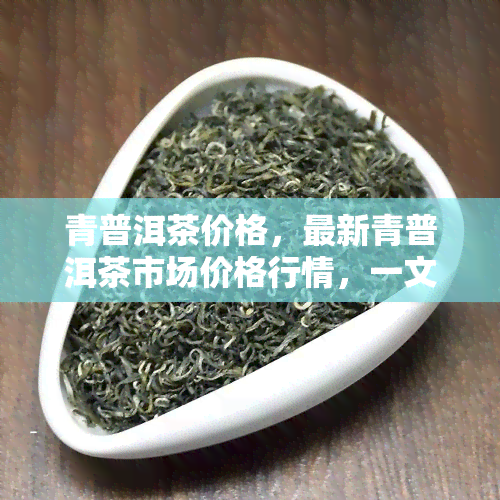 青普洱茶价格，最新青普洱茶市场价格行情，一文带你了解！