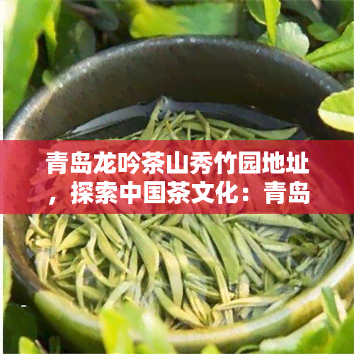 青岛龙吟茶山秀竹园地址，探索中国茶文化：青岛龙吟茶山秀竹园的地址与简介