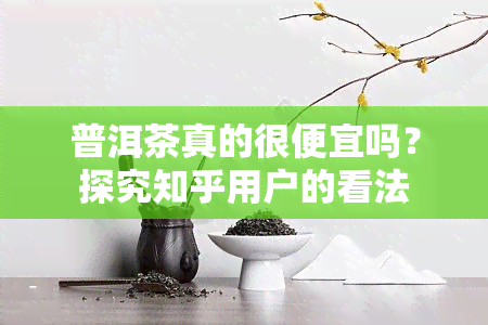 普洱茶真的很便宜吗？探究知乎用户的看法