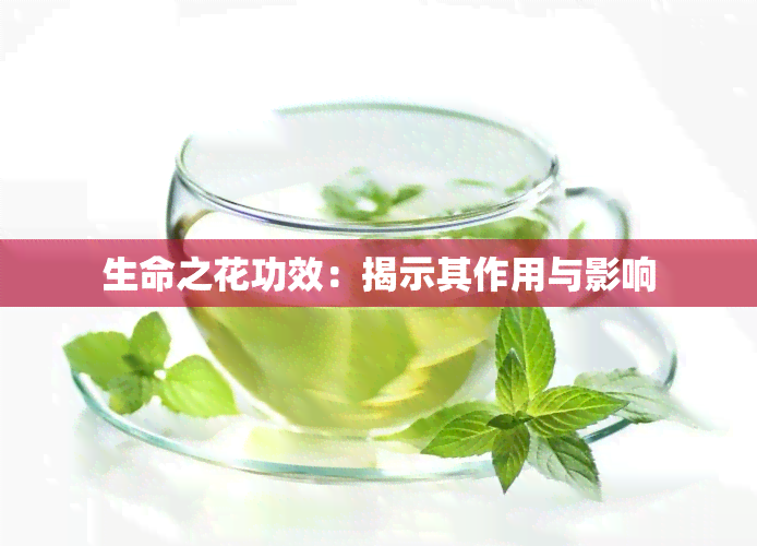 生命之花功效：揭示其作用与影响