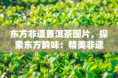 东方非遗普洱茶图片，探索东方韵味：精美非遗普洱茶图片展示