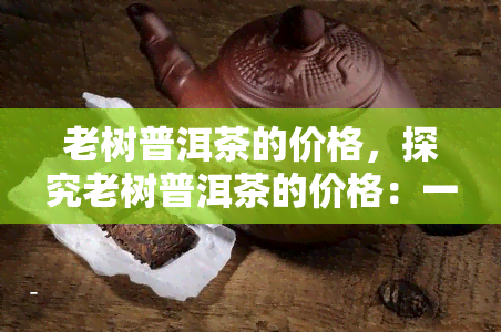 老树普洱茶的价格，探究老树普洱茶的价格：一份全面的市场分析报告