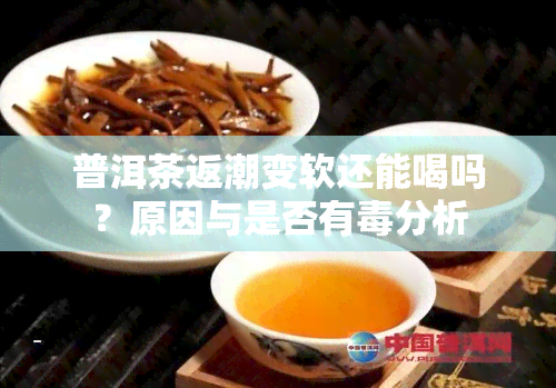 普洱茶返潮变软还能喝吗？原因与是否有分析