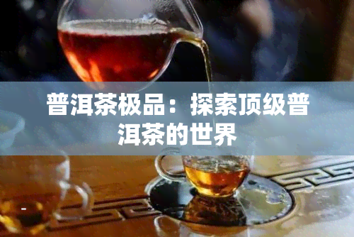 普洱茶极品：探索顶级普洱茶的世界