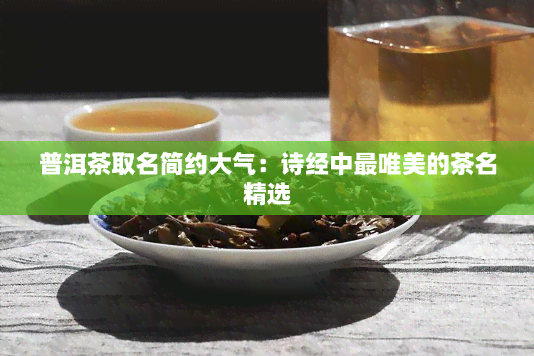 普洱茶取名简约大气：诗经中最唯美的茶名精选