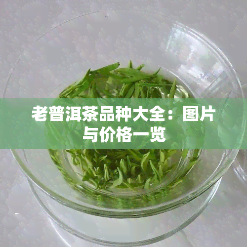 老普洱茶品种大全：图片与价格一览