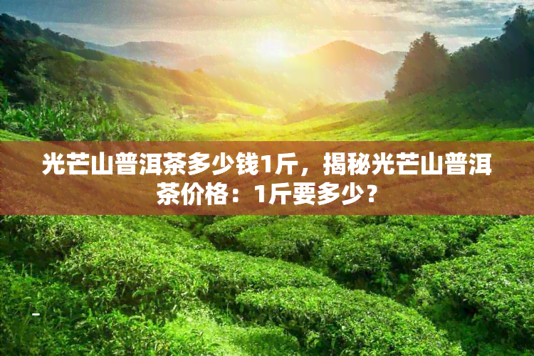 光芒山普洱茶多少钱1斤，揭秘光芒山普洱茶价格：1斤要多少？