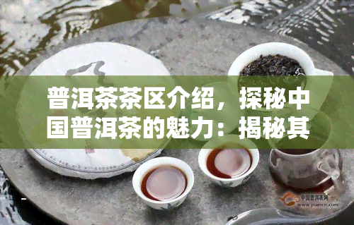 普洱茶茶区介绍，探秘中国普洱茶的魅力：揭秘其独特茶区与历文化