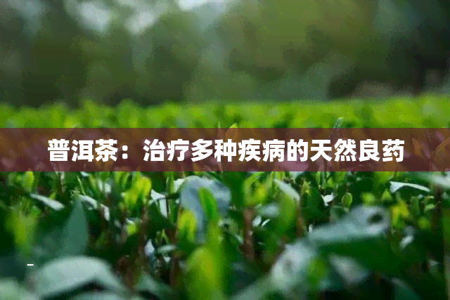 普洱茶：治疗多种疾病的天然良